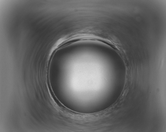 X0000080200003200612152052