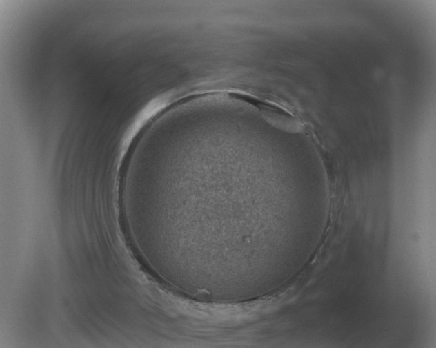 X0000080200006200612152052