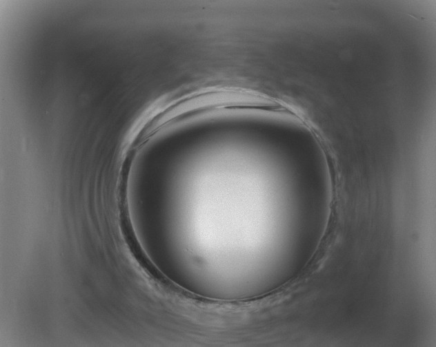 X0000080200007200612152052