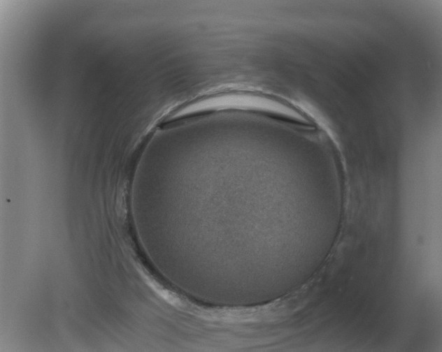 X0000080200009200612152052