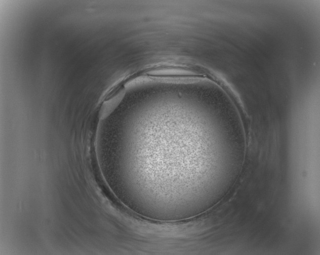 X0000080200010200612152052