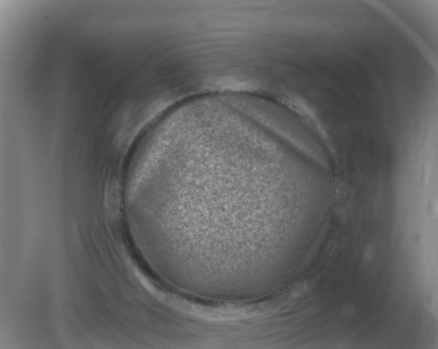 X0000080200012200612152052