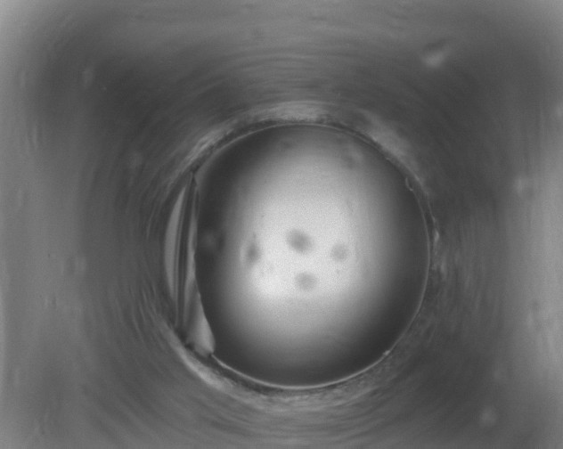 X0000080200013200612152052