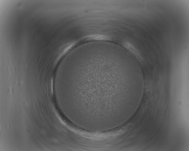 X0000080200014200612152052