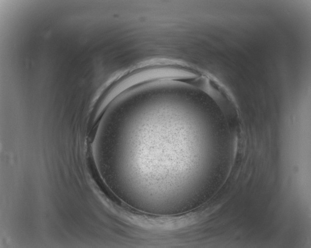 X0000080200015200612152052