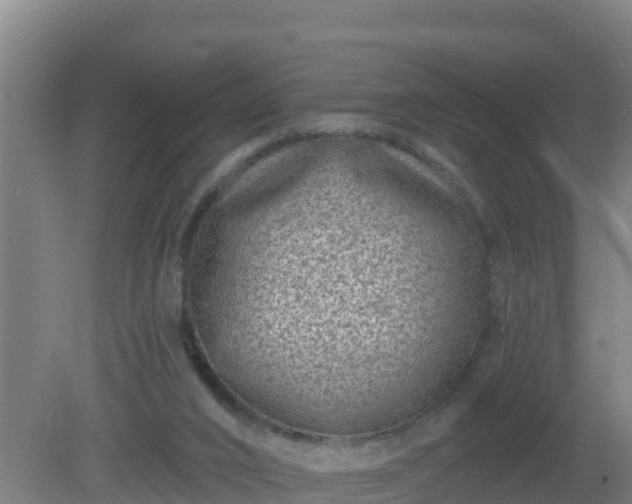 X0000080200016200612152052