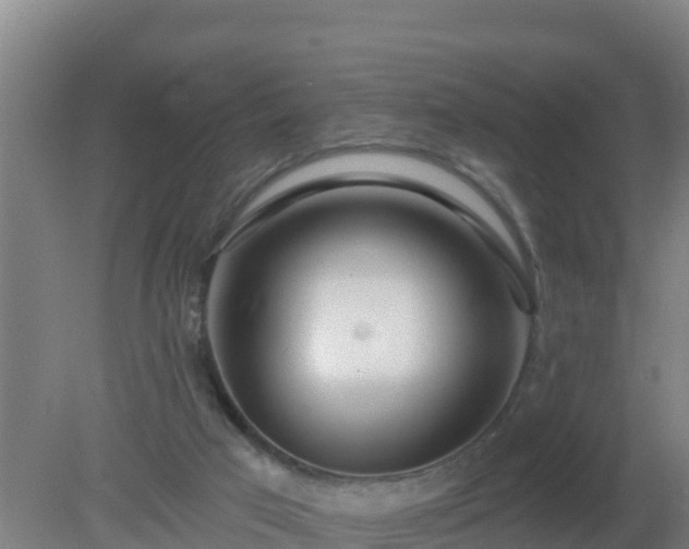 X0000080200017200612152052