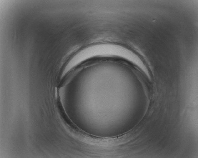 X0000080200019200612152052