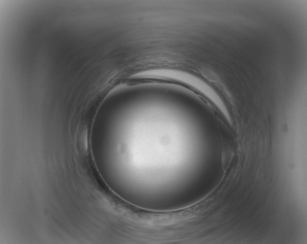 X0000080200021200612152052