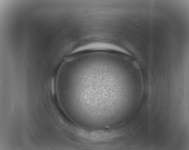 X0000080200022200612152052