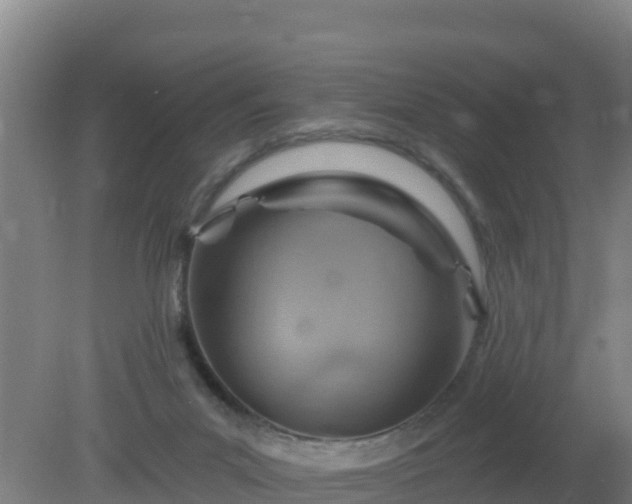 X0000080200023200612152052