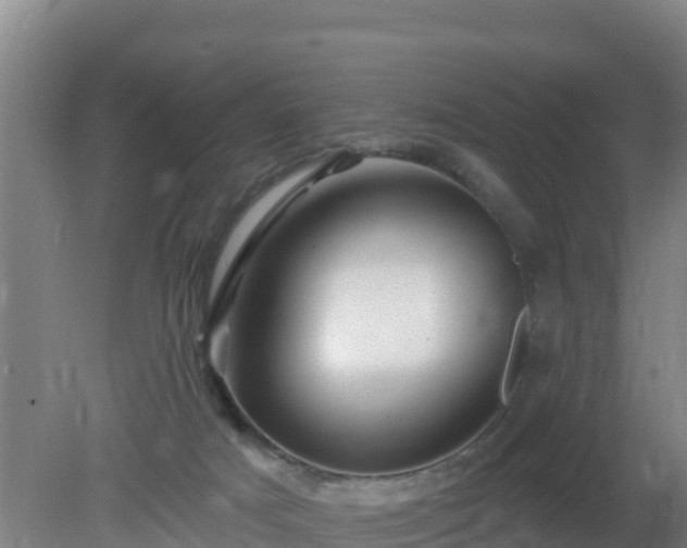 X0000080200025200612152052