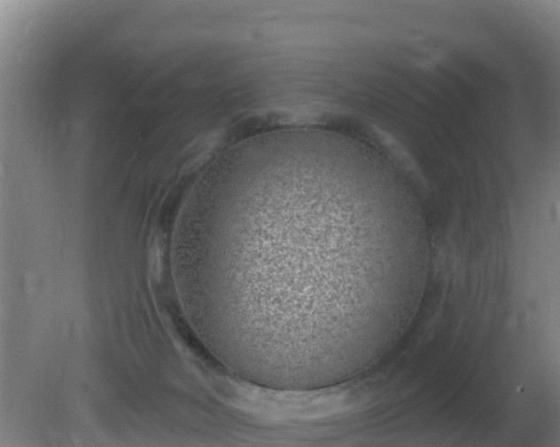 X0000080200026200612152051