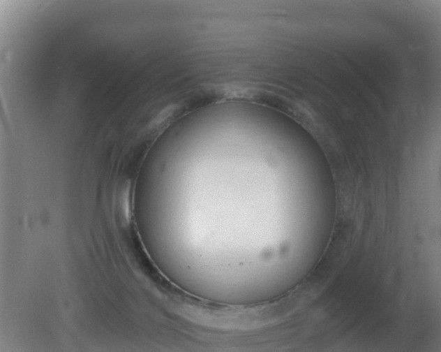 X0000080200028200612152051