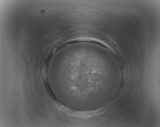 X0000080200029200612152051