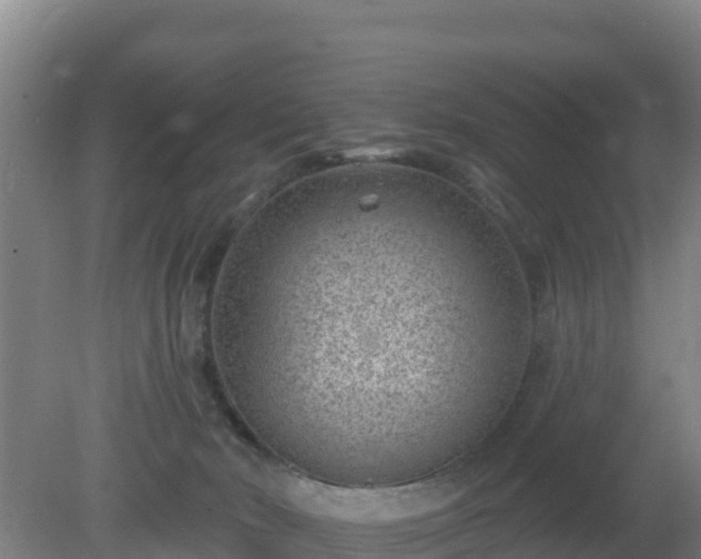 X0000080200030200612152051