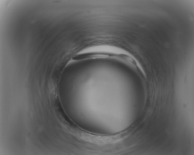 X0000080200031200612152051