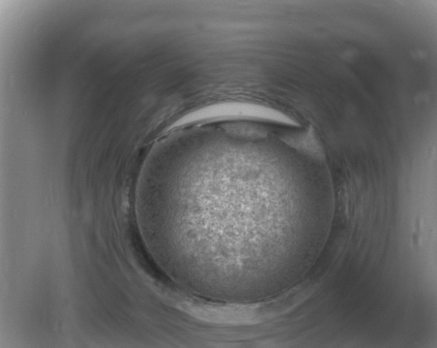 X0000080200032200612152051