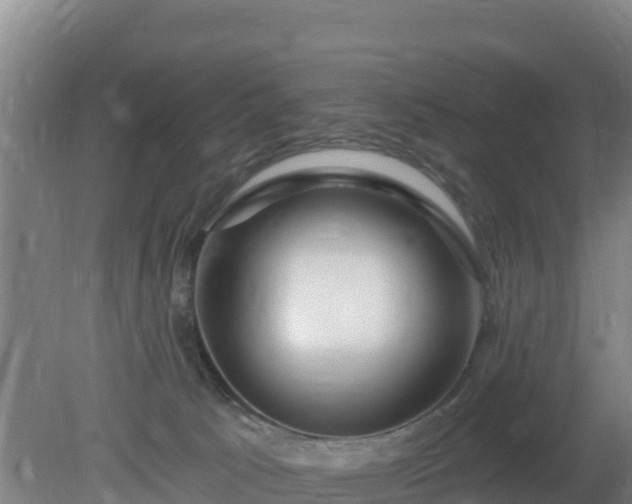 X0000080200033200612152051