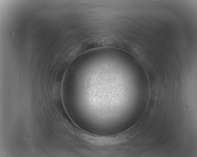 X0000080200034200612152051