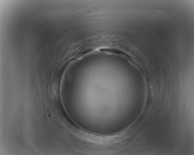 X0000080200035200612152051