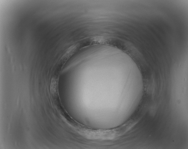 X0000080200036200612152051