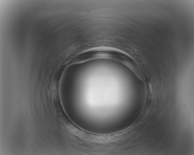 X0000080200037200612152051