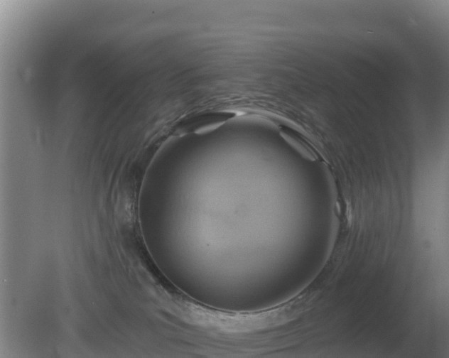 X0000080200039200612152051