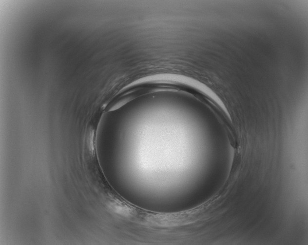 X0000080200041200612152051