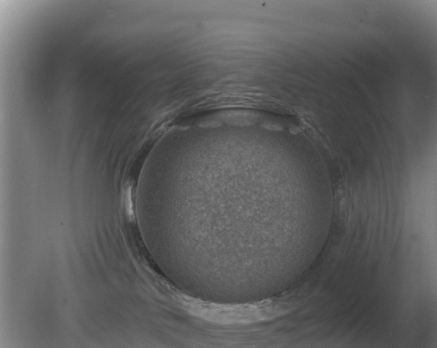 X0000080200042200612152051