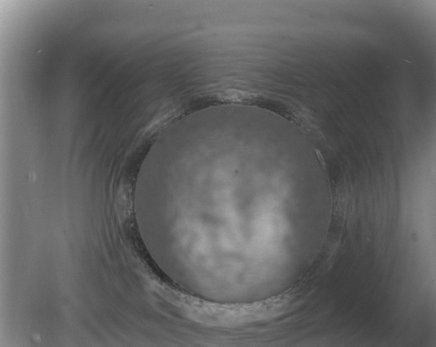 X0000080200043200612152051