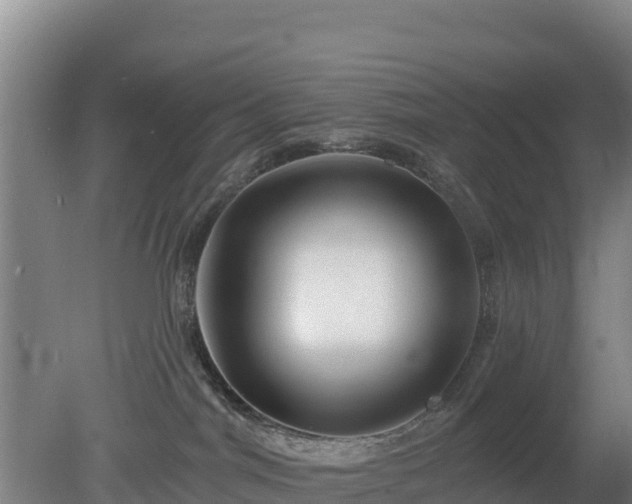 X0000080200044200612152051