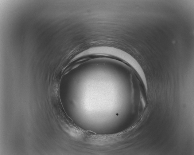 X0000080200045200612152051