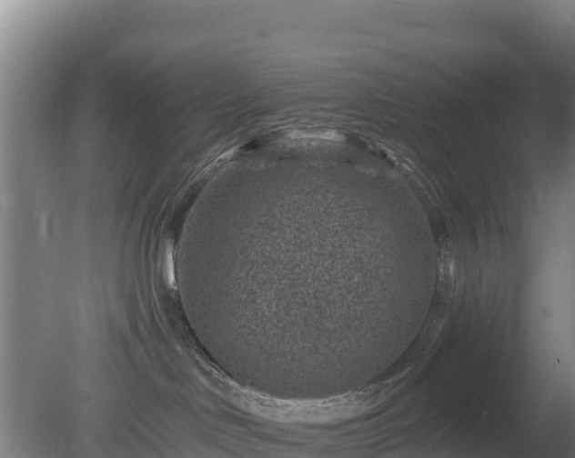 X0000080200046200612152051