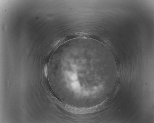 X0000080200047200612152051