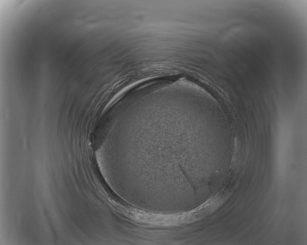 X0000080200048200612152051