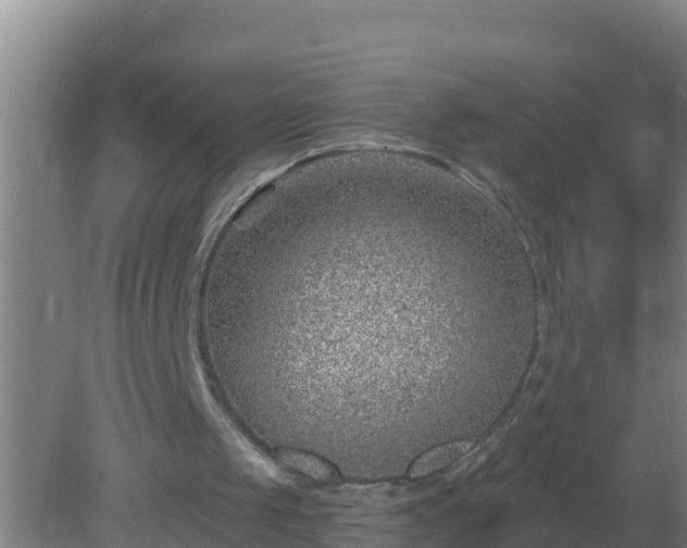 X0000080200049200612152050