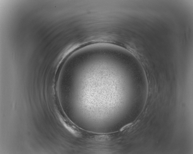 X0000080200050200612152050