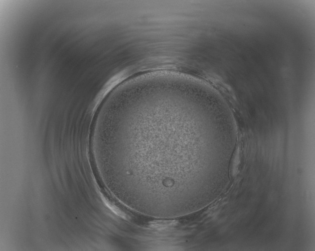 X0000080200051200612152050