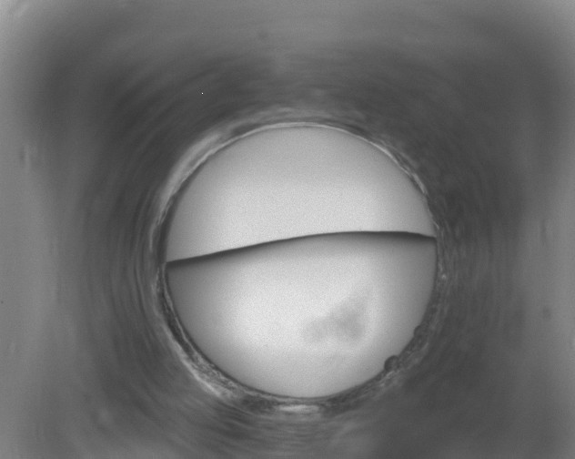 X0000080200053200612152050