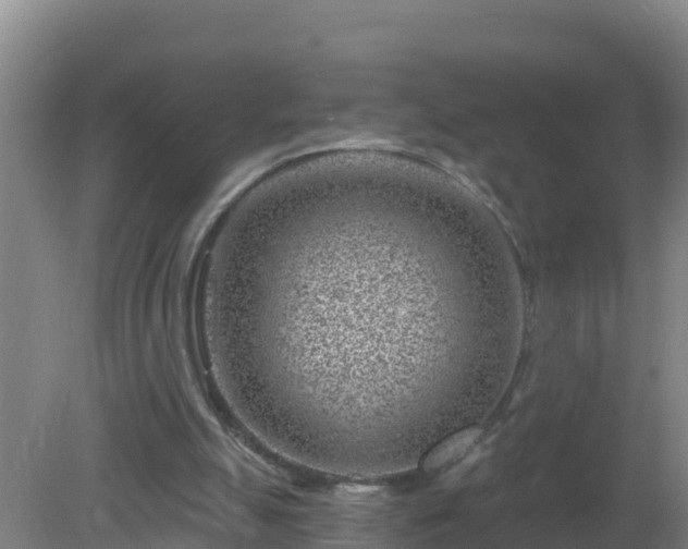 X0000080200055200612152050