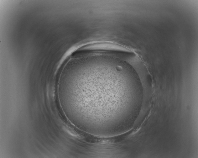 X0000080200056200612152050