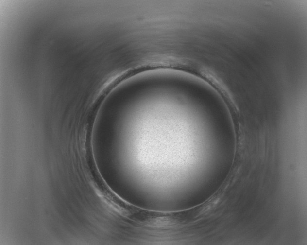 X0000080200058200612152050