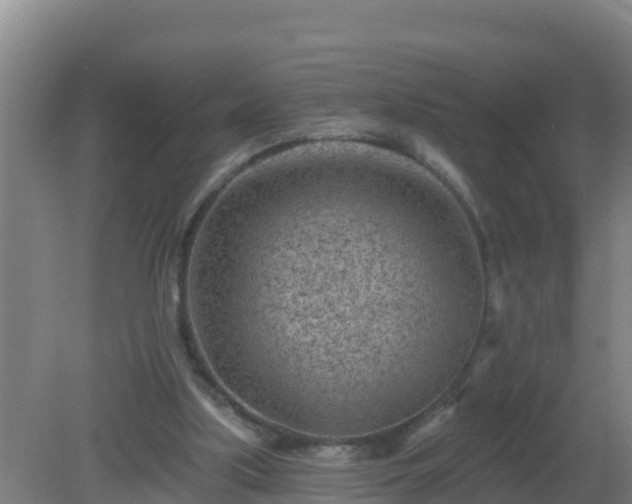 X0000080200059200612152050