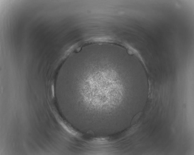 X0000080200061200612152051