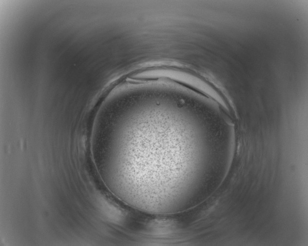 X0000080200063200612152051