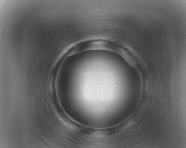 X0000080200064200612152051