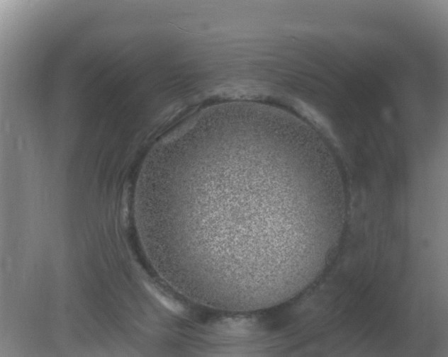 X0000080200065200612152051