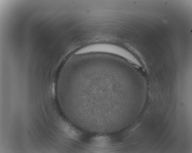 X0000080200067200612152051