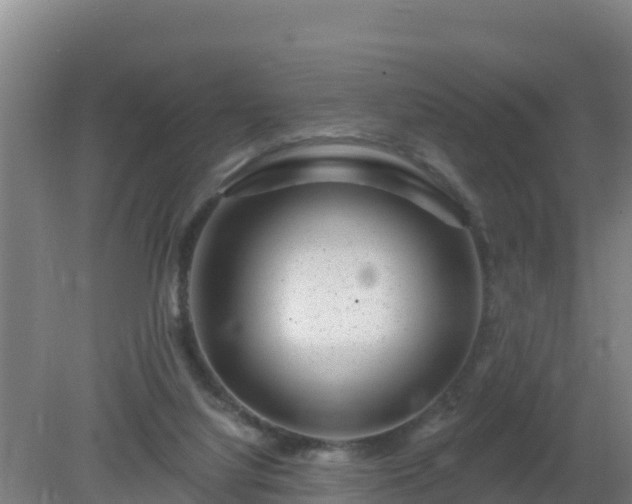 X0000080200068200612152051